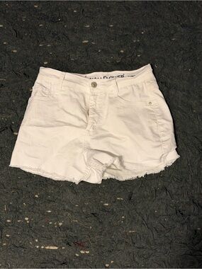 Wildflowers White Frayed Hem Denim Shorts